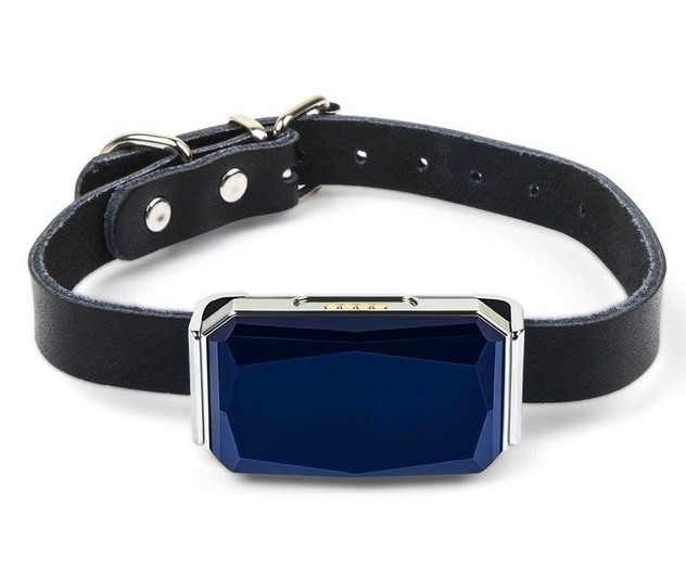 GPS ტრეკერი ძაღლისთვის