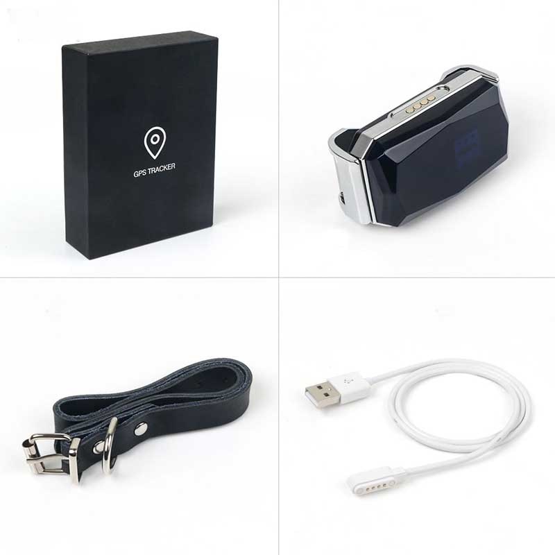 gps საყელო ძაღლისთვის