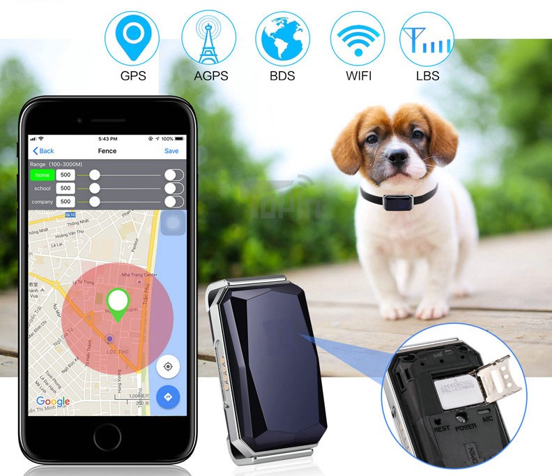 gps ტრეკერი ძაღლისთვის