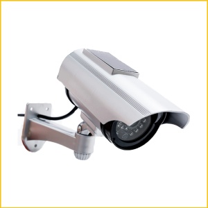 Fake კამერა